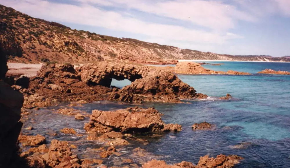 <span id=hs_cos_wrapper_name class=hs_cos_wrapper hs_cos_wrapper_meta_field hs_cos_wrapper_type_text style= data-hs-cos-general-type=meta_field data-hs-cos-type=text >Cambrian Creatures’ Diverse, Complex Eyes Reinforce Creation Narrative</span>