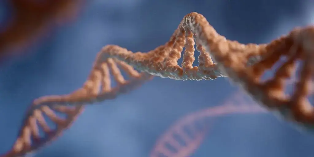 <span id=hs_cos_wrapper_name class=hs_cos_wrapper hs_cos_wrapper_meta_field hs_cos_wrapper_type_text style= data-hs-cos-general-type=meta_field data-hs-cos-type=text >DNA and Designing Intelligence – Part 3</span>