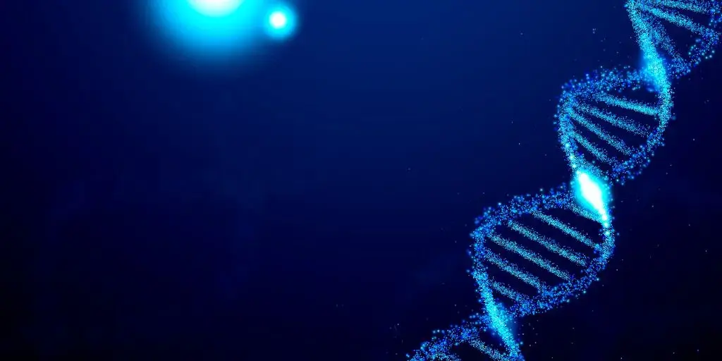 <span id=hs_cos_wrapper_name class=hs_cos_wrapper hs_cos_wrapper_meta_field hs_cos_wrapper_type_text style= data-hs-cos-general-type=meta_field data-hs-cos-type=text >Digital Code in Our DNA: Proof of an Intelligent Designer? – Part 2</span>