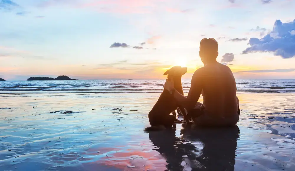 <span id=hs_cos_wrapper_name class=hs_cos_wrapper hs_cos_wrapper_meta_field hs_cos_wrapper_type_text style= data-hs-cos-general-type=meta_field data-hs-cos-type=text >Mammals: Designed to Serve and Please Humans</span>