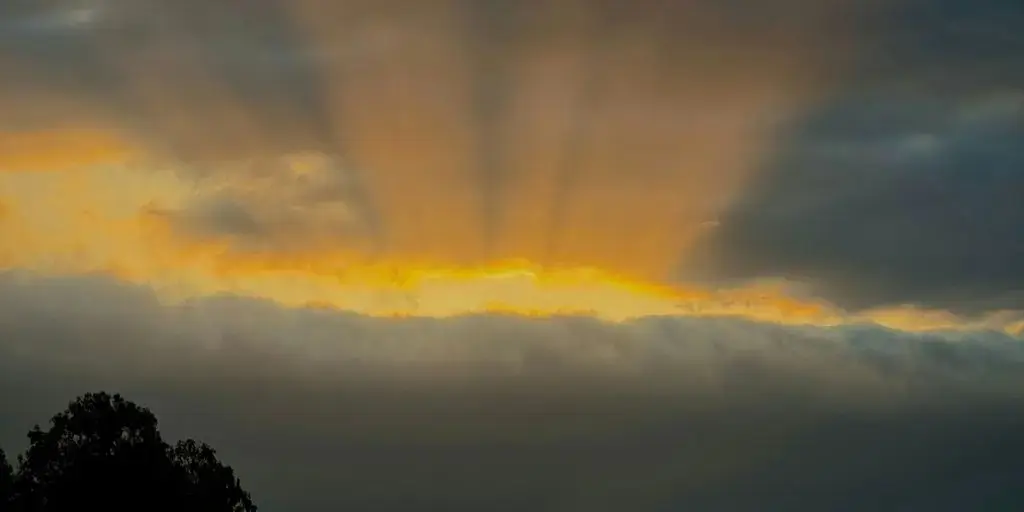 <span id=hs_cos_wrapper_name class=hs_cos_wrapper hs_cos_wrapper_meta_field hs_cos_wrapper_type_text style= data-hs-cos-general-type=meta_field data-hs-cos-type=text >The Grace of God</span>