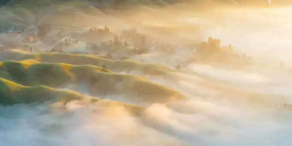 <span id=hs_cos_wrapper_name class=hs_cos_wrapper hs_cos_wrapper_meta_field hs_cos_wrapper_type_text style= data-hs-cos-general-type=meta_field data-hs-cos-type=text >The Immanence of God</span>